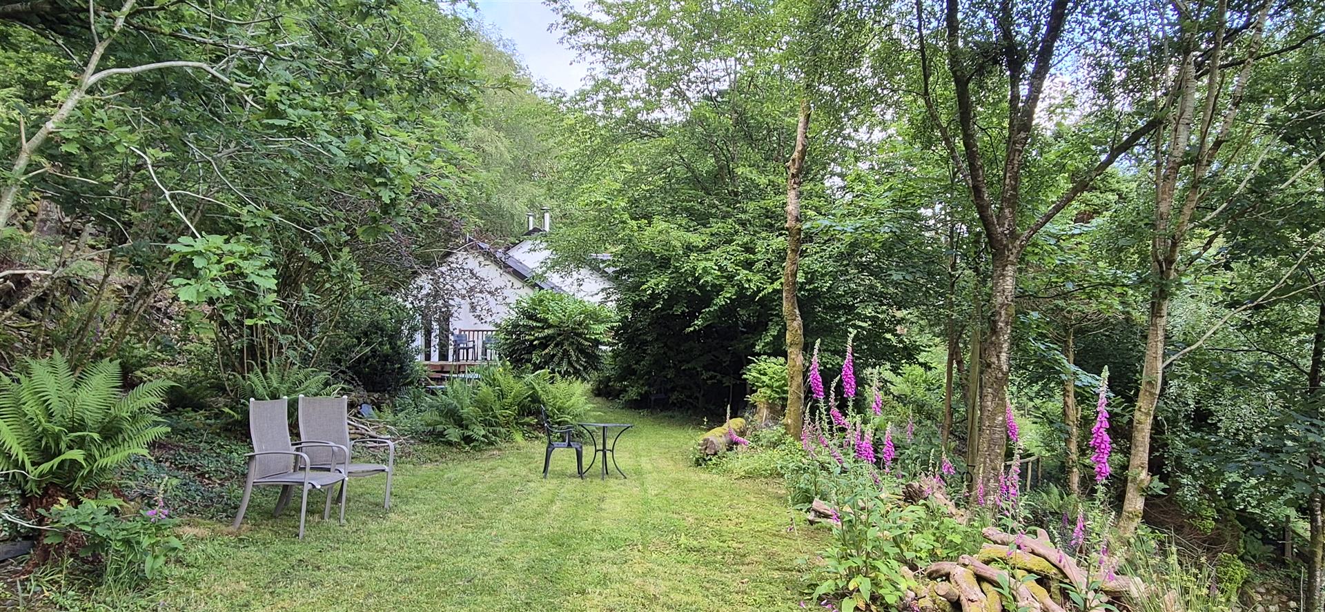 Garden 3.jpg